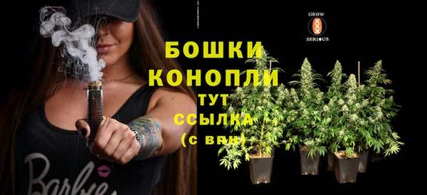 Альфа ПВП Абаза