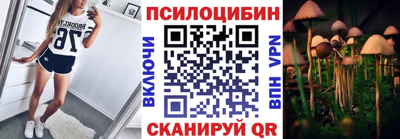 кракен вход  Тольятти  Галлюциногенные грибы прущие грибы 